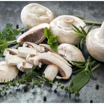 Замразени печурки - ленти - 2,5 кг.